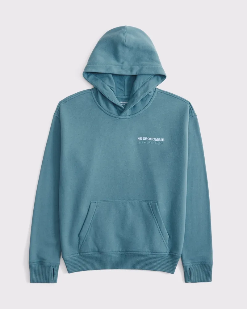logo popover hoodie